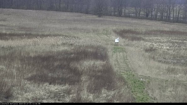 Cell 1 to 2_24-03-27_13-12-51-15