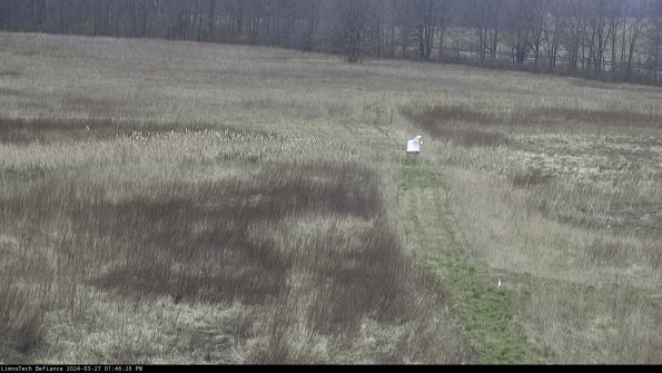 Cell 1 to 2_24-03-27_13-46-21-17