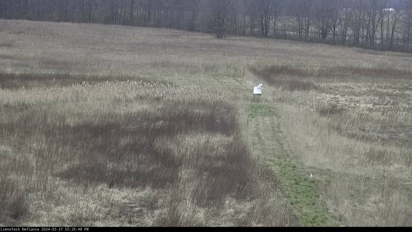 Cell 1 to 2_24-03-27_15-26-49-18