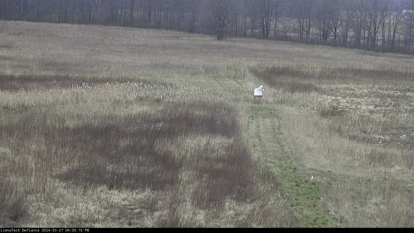 Cell 1 to 2_24-03-27_16-00-17-16