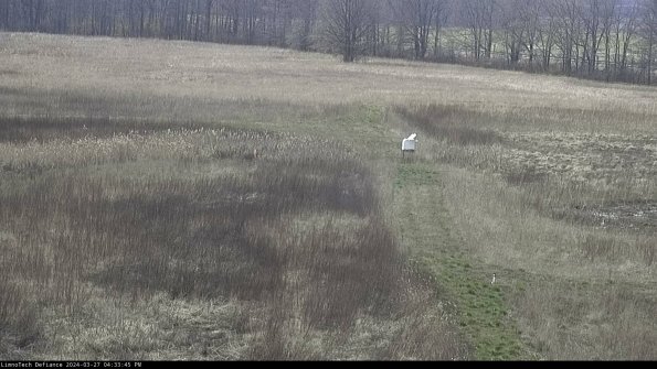 Cell 1 to 2_24-03-27_16-33-46-17