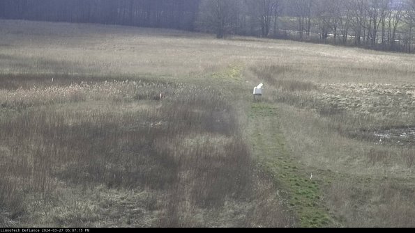 Cell 1 to 2_24-03-27_17-07-16-16