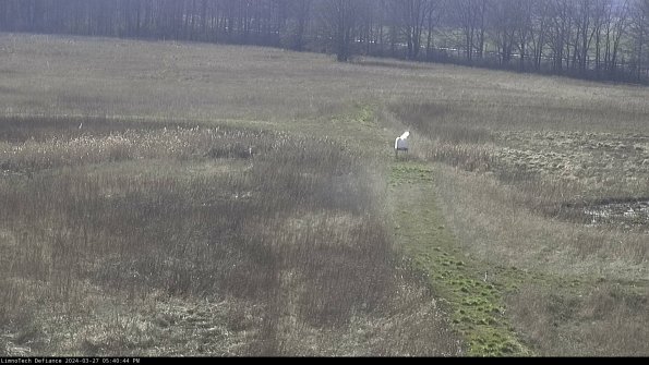 Cell 1 to 2_24-03-27_17-40-45-17