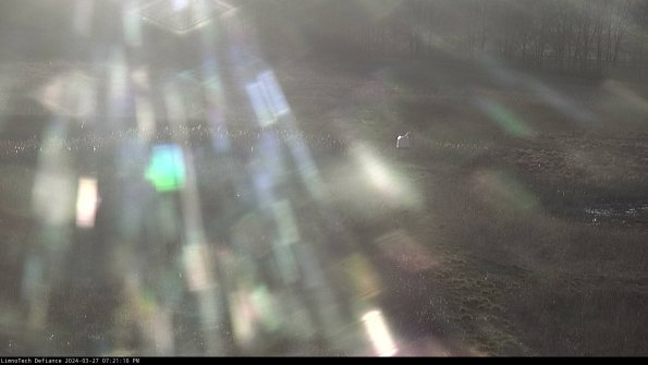 Cell 1 to 2_24-03-27_19-21-11-15