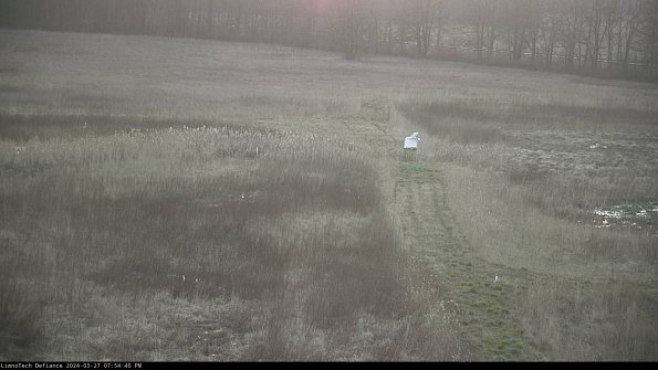 Cell 1 to 2_24-03-27_19-54-41-17