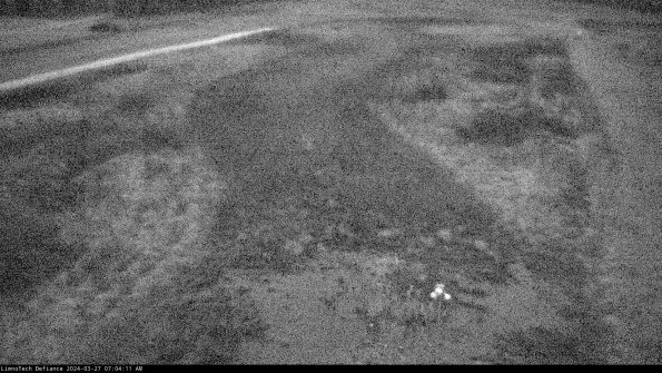 Cell 1_24-03-27_07-04-12-16