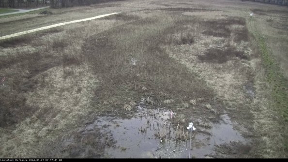 Cell 1_24-03-27_07-37-42-14