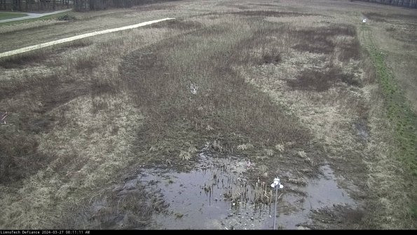 Cell 1_24-03-27_08-11-12-15