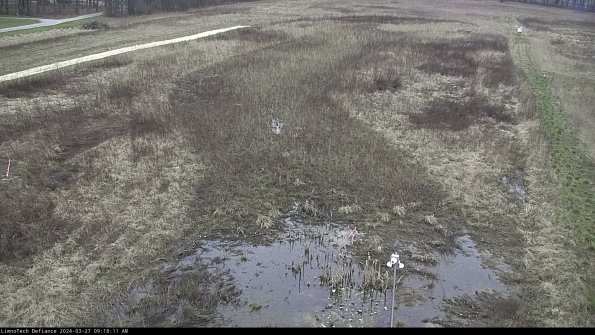 Cell 1_24-03-27_09-18-12-18