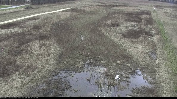 Cell 1_24-03-27_10-25-10-17