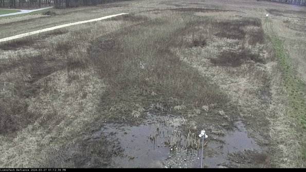 Cell 1_24-03-27_13-12-37-17