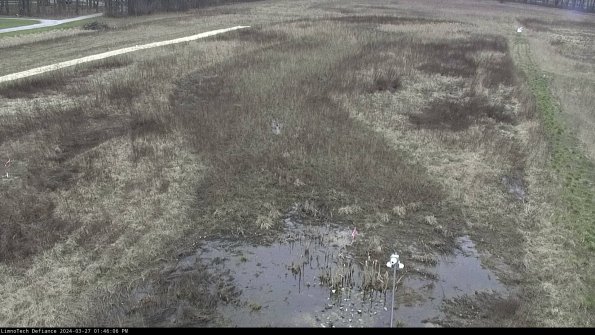 Cell 1_24-03-27_13-46-07-19