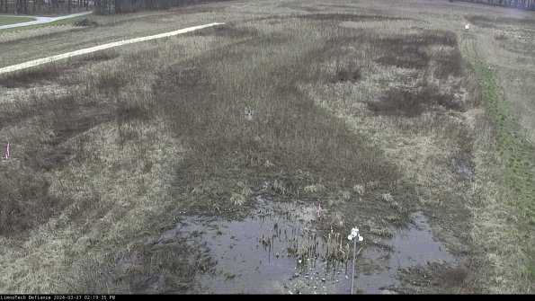 Cell 1_24-03-27_14-19-36-16