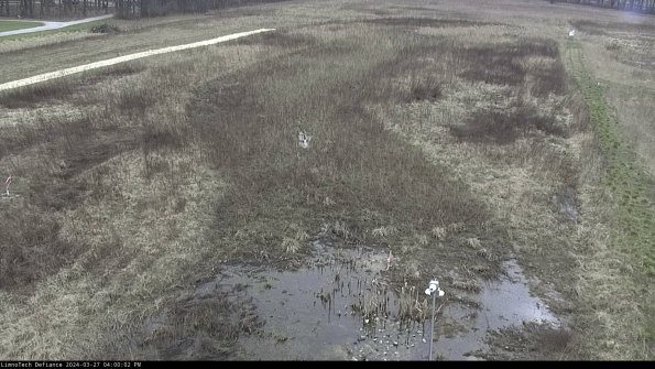 Cell 1_24-03-27_16-00-03-14