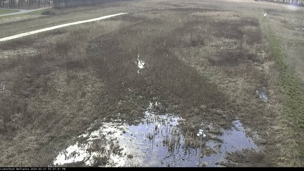 Cell 1_24-03-27_17-07-02-18