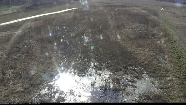 Cell 1_24-03-27_17-40-31-16