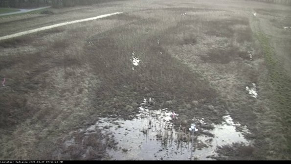 Cell 1_24-03-27_19-54-27-16