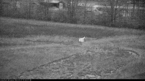 Cell 2 to 3_24-03-27_07-04-52-37