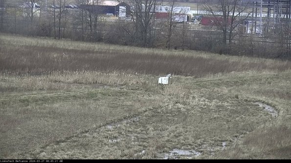 Cell 2 to 3_24-03-27_08-45-22-27