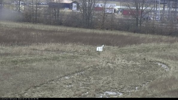 Cell 2 to 3_24-03-27_14-53-45-36