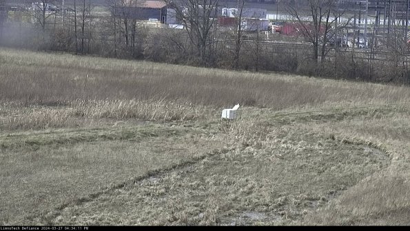 Cell 2 to 3_24-03-27_16-34-12-30