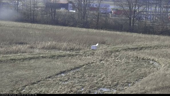 Cell 2 to 3_24-03-27_17-41-11-26