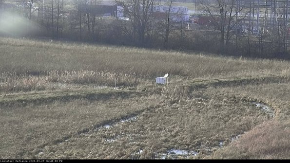 Cell 2 to 3_24-03-27_18-48-09-30