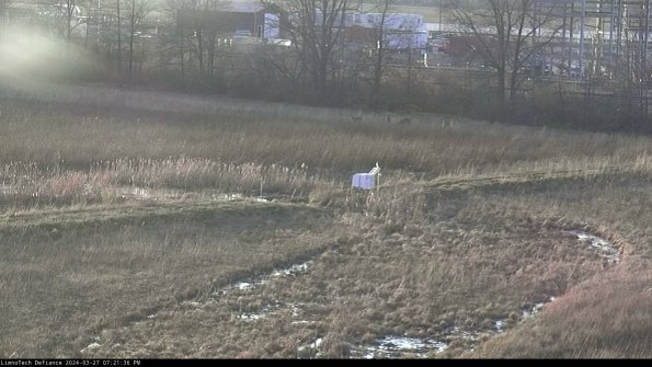 Cell 2 to 3_24-03-27_19-21-37-35