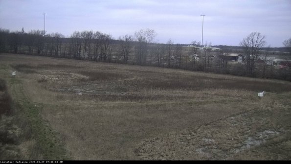 Cell 2_24-03-27_07-38-09-20