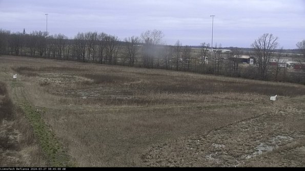 Cell 2_24-03-27_08-45-09-19