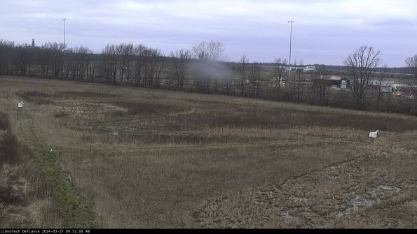 Cell 2_24-03-27_09-52-09-18