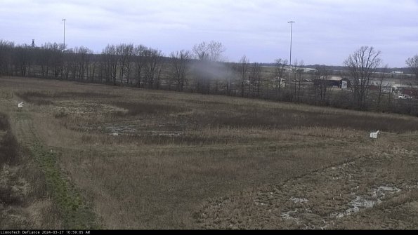 Cell 2_24-03-27_10-59-06-21