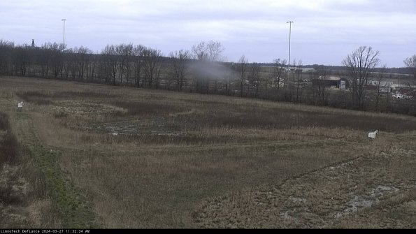 Cell 2_24-03-27_11-32-35-22