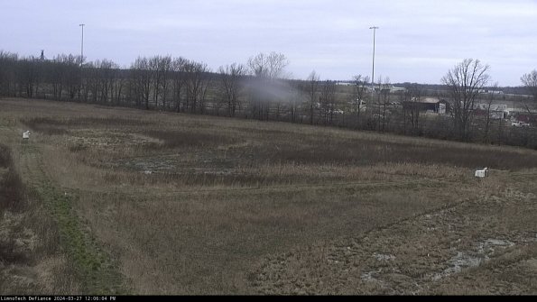 Cell 2_24-03-27_12-06-05-17