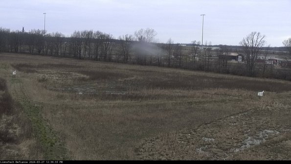 Cell 2_24-03-27_12-39-34-18