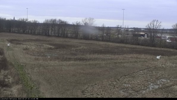 Cell 2_24-03-27_13-13-04-19