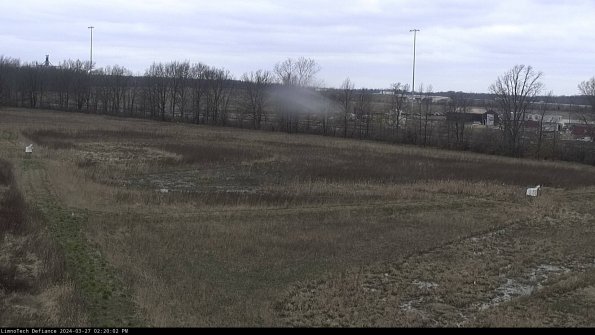 Cell 2_24-03-27_14-20-03-16