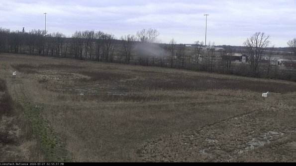 Cell 2_24-03-27_14-53-32-24