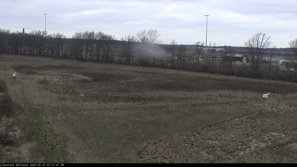 Cell 2_24-03-27_15-27-02-19