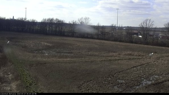 Cell 2_24-03-27_17-07-29-17