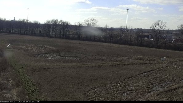 Cell 2_24-03-27_17-40-58-19