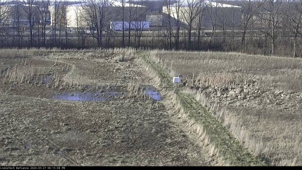 Cell 3 to 4_24-03-27_18-15-09-18