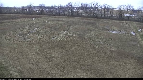 Cell 3_24-03-27_11-33-03-15