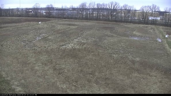 Cell 3_24-03-27_13-13-32-16