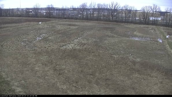 Cell 3_24-03-27_13-47-01-41