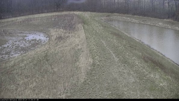 Cell 4 to Basin_24-03-27_11-00-32-17