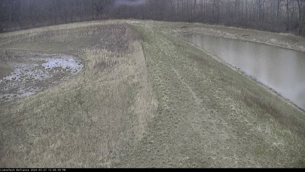 Cell 4 to Basin_24-03-27_12-40-59-17