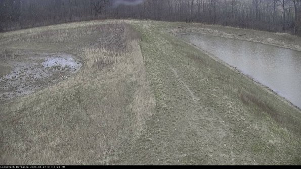 Cell 4 to Basin_24-03-27_13-14-30-15