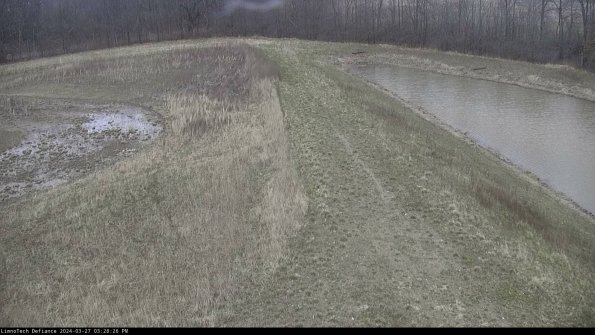 Cell 4 to Basin_24-03-27_15-28-27-18