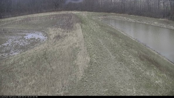 Cell 4 to Basin_24-03-27_16-01-55-16